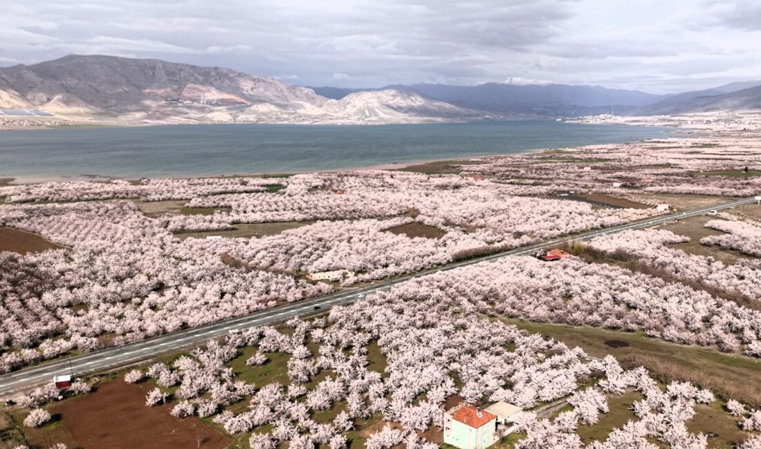 Ziraat Mühendisleri Odası Başkanı Fevzi Çiçek, Malatya’nın 650 rakımdan 1850