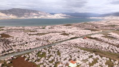 Ziraat Mühendisleri Odası Başkanı Fevzi Çiçek, Malatya’nın 650 rakımdan 1850