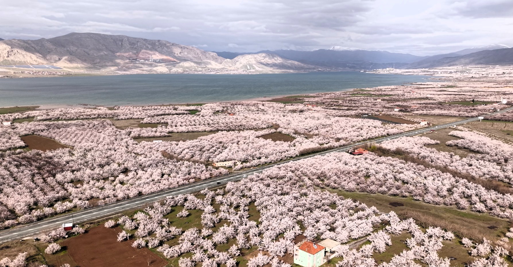 Ziraat Mühendisleri Odası Başkanı Fevzi Çiçek, Malatya’nın 650 rakımdan 1850