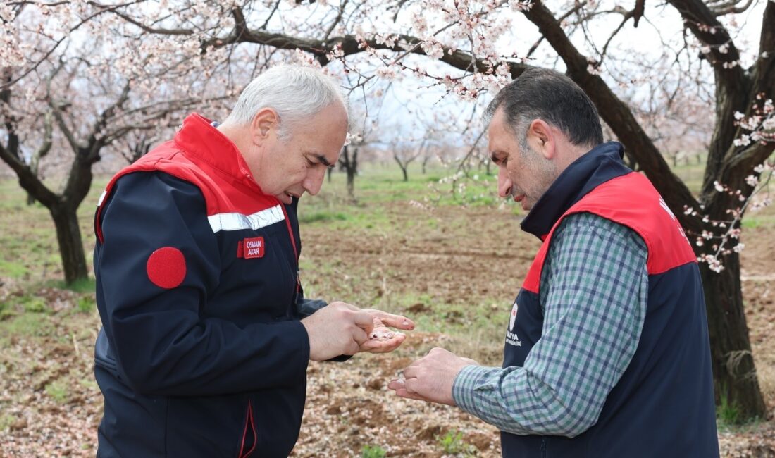 Malatya İl Tarım ve Orman Müdürü Osman Akar, Yeşilyurt’taki kayısı