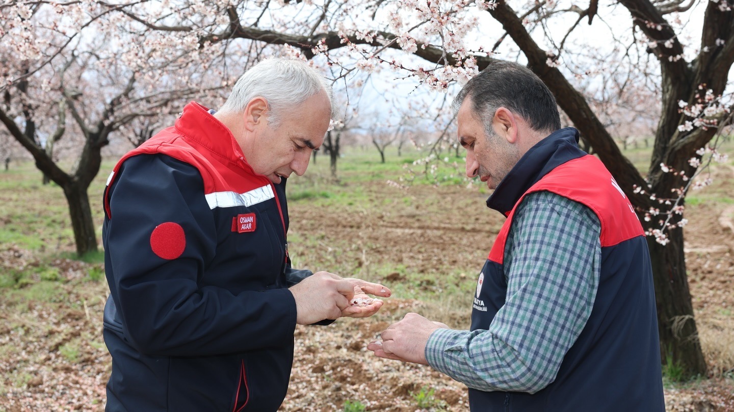 Malatya İl Tarım ve Orman Müdürü Osman Akar, Yeşilyurt’taki kayısı