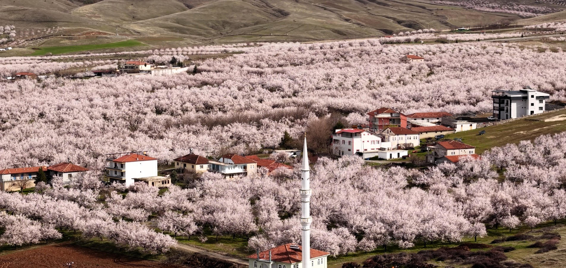 Asıl risk ilkbahar yağışları..Fevzi Çiçek açıkladı!