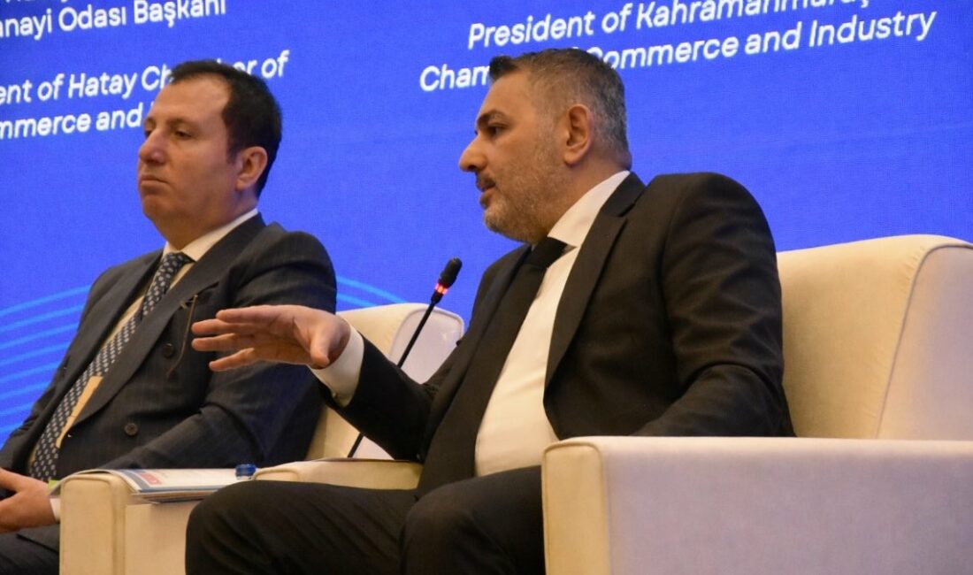 Dışişleri Bakanlığı Avrupa Birliği Başkanlığı tarafından Hatay’da düzenlenen panelde konuşan