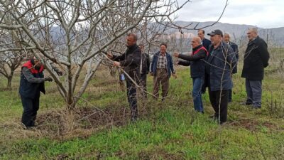 Kale ilçesinde çiftçilere yönelik uygulamalı meyve ağacı budama eğitimi düzenlendi.