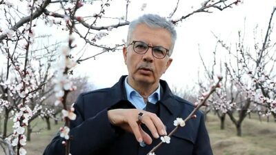 Malatya’da geçtiğimiz yıl başta kayısı olmak üzere birçok tarım ürününde