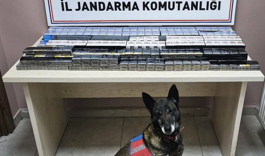 Kayseri İl Jandarma Komutanlığı ekiplerince Kayseri-Malatya karayolunda durdurulan 2 ayrı