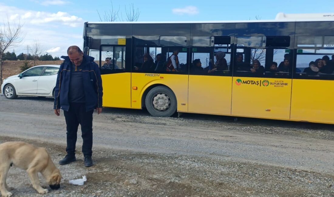 Malatya’da topallayan bir sokak köpeğinin otobüs şoföründen yardım istemesi ve