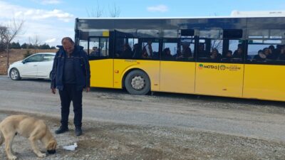 Malatya’da topallayan bir sokak köpeğinin otobüs şoföründen yardım istemesi ve