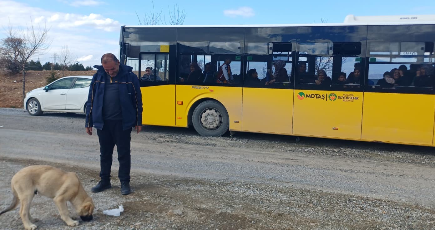 Malatya’da topallayan bir sokak köpeğinin otobüs şoföründen yardım istemesi ve