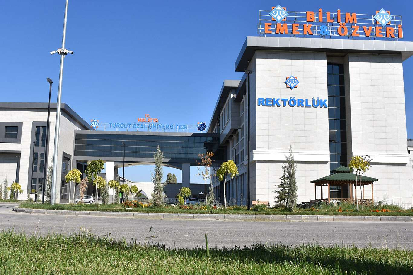 Malatya Turgut Özal Üniversitesi&nbsp;kampüsünde köpek yavrularının öldürüldüğü iddiasıyla paylaşılan görüntüler