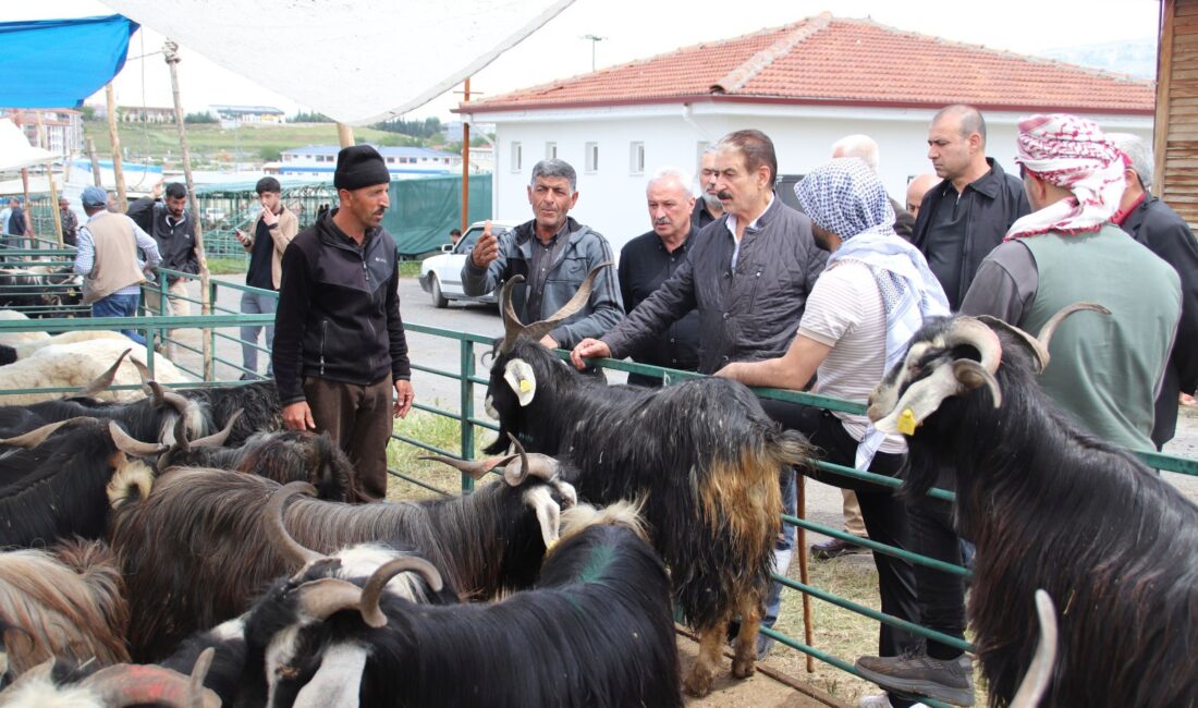 Malatya Esnaf ve Sanatkârlar Odaları Birliği (MESOB) Başkanı Şevket Keskin,