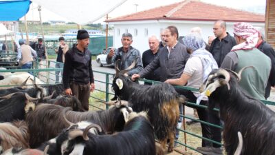 Malatya Esnaf ve Sanatkârlar Odaları Birliği (MESOB) Başkanı Şevket Keskin,
