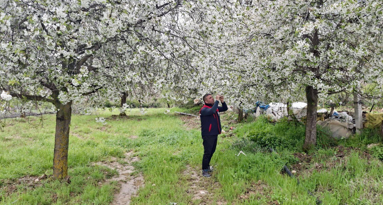 Afyonkarahisar’da zirai don riskine karşı tarım arazilerinde saha kontrolleri hız