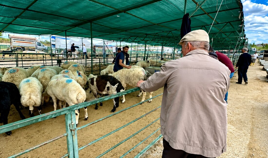 Bayramın üçüncü gününde kurban pazarında satışlar devam ederken, bazı yetiştiriciler