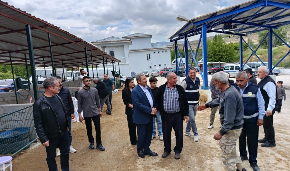 Darende Belediye Başkanı Alican Bozkurt, Kurban Bayramı öncesi canlı hayvan