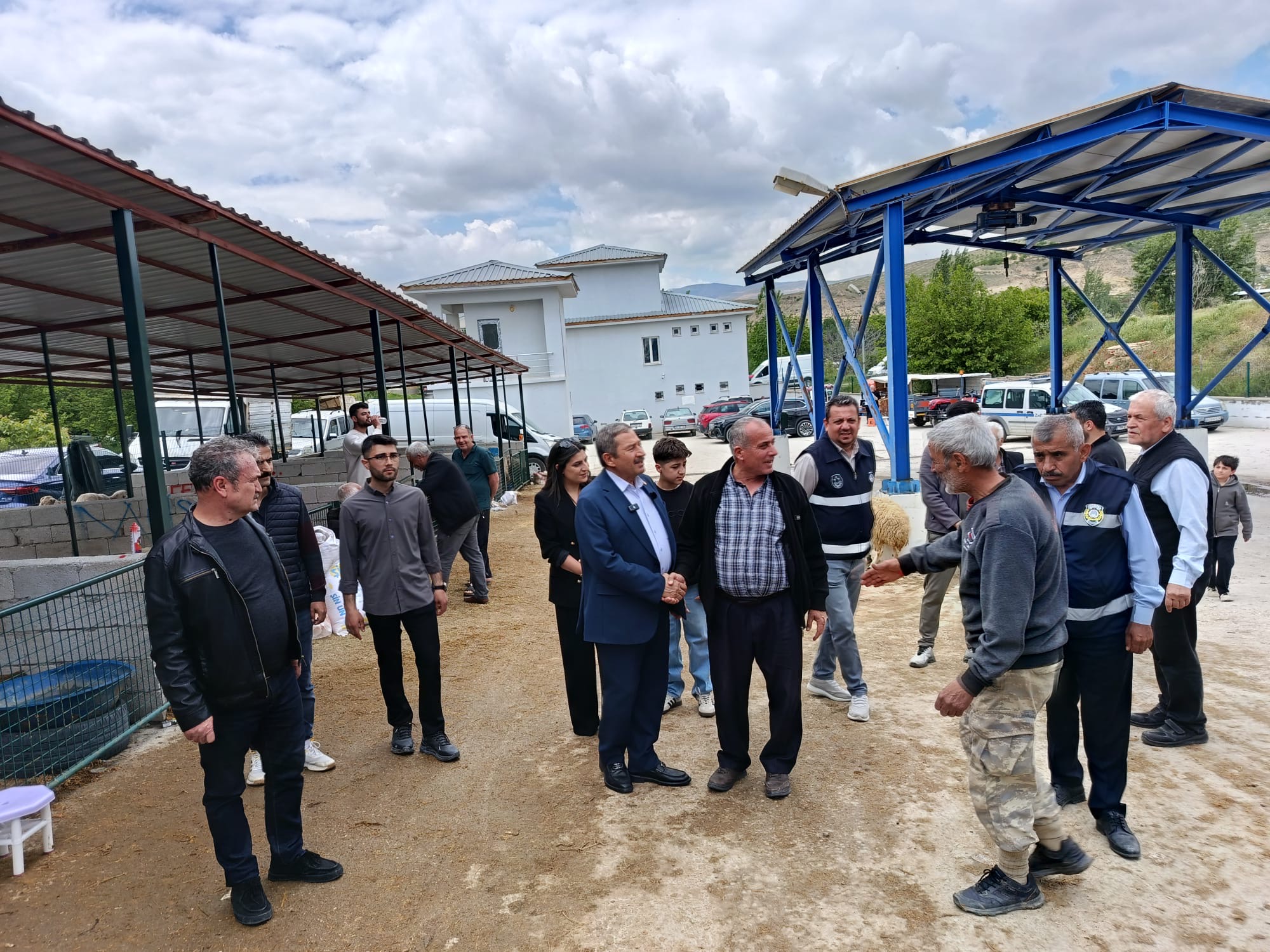 Darende Belediye Başkanı Alican Bozkurt, Kurban Bayramı öncesi canlı hayvan