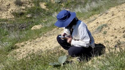 Darende’de yürütülen kapsamlı flora çalışmasıyla bölgenin bitki çeşitliliği kayıt altına