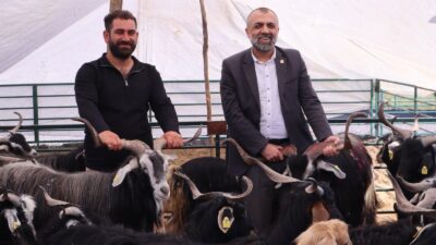 Malatya Damızlık Koyun ve Keçi Yetiştiricileri Birliği Başkanı İhsan Akın,