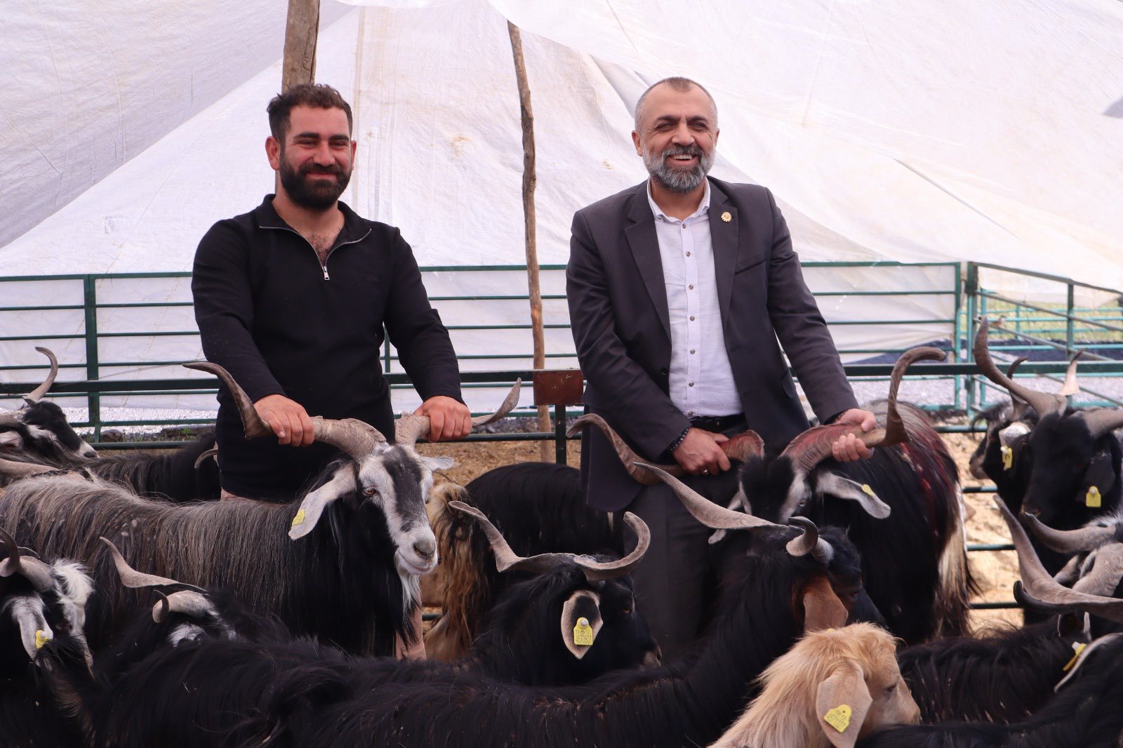 Malatya Damızlık Koyun ve Keçi Yetiştiricileri Birliği Başkanı İhsan Akın,