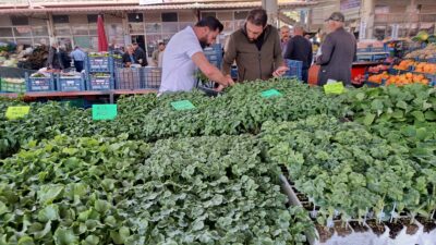 Malatya’nın Darende ilçesinde artan sebze fiyatları, vatandaşları kendi sebzesini üretmeye