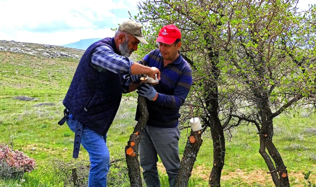 Malatya’nın Ilıca Mahallesi’nde gönüllü vatandaşlar tarafından başlatılan çalışma kapsamında doğada