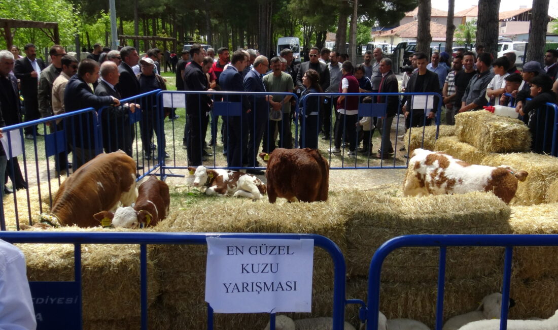 Yazıhan’da Dünya Çiftçiler Günü kapsamında düzenlenen Tarım ve Hayvancılık Şenliği,