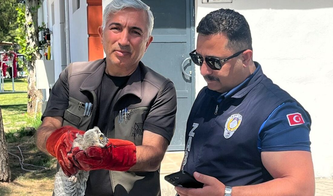 Battalgazi Belediyesi Zabıta Müdürlüğü ekipleri, Kırkgöz Sahil Parkı’nda gerçekleştirdikleri rutin