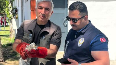 Battalgazi Belediyesi Zabıta Müdürlüğü ekipleri, Kırkgöz Sahil Parkı’nda gerçekleştirdikleri rutin