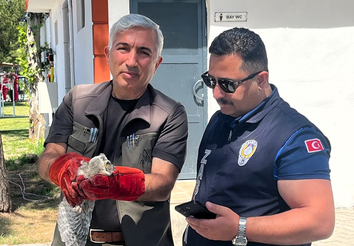 Battalgazi Belediyesi Zabıta Müdürlüğü ekipleri, Kırkgöz Sahil Parkı’nda gerçekleştirdikleri rutin