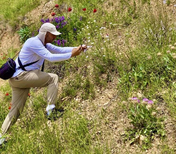 Darende’de yürütülen flora çalışmasının ikinci etabı tamamlandı. İlçenin zengin bitki