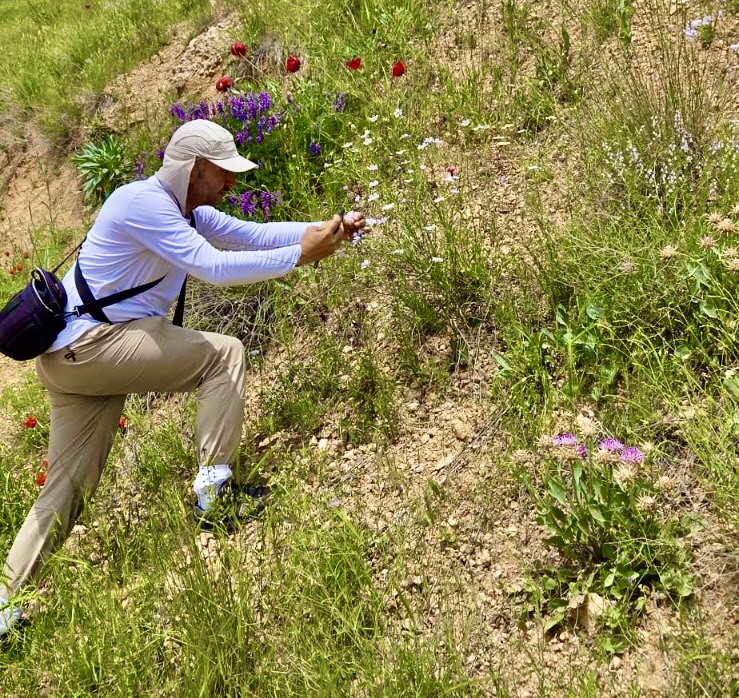 Darende’de yürütülen flora çalışmasının ikinci etabı tamamlandı. İlçenin zengin bitki