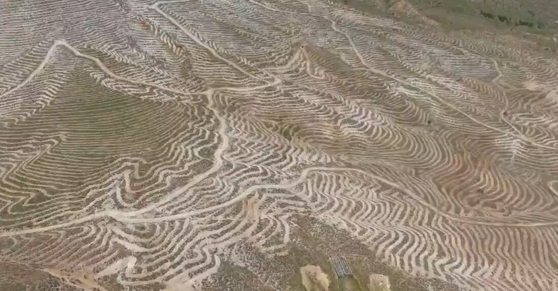 Elazığ Orman Bölge Müdürlüğü, Malatya’nın Doğanşehir ilçesinde yürütülen geniş kapsamlı