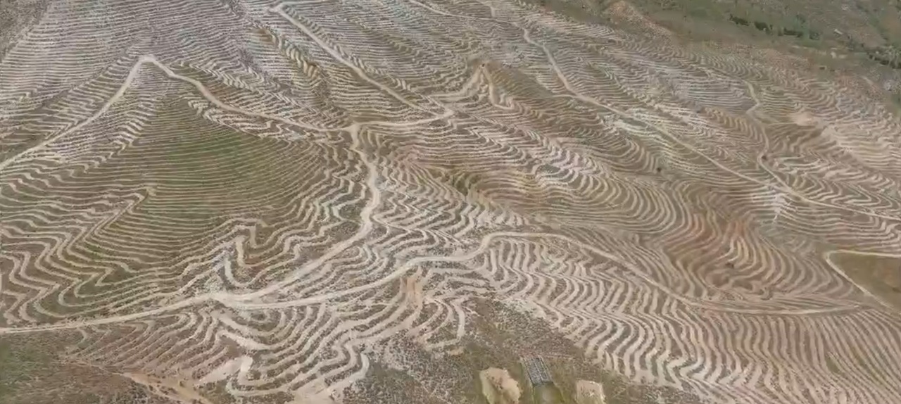 Elazığ Orman Bölge Müdürlüğü, Malatya’nın Doğanşehir ilçesinde yürütülen geniş kapsamlı