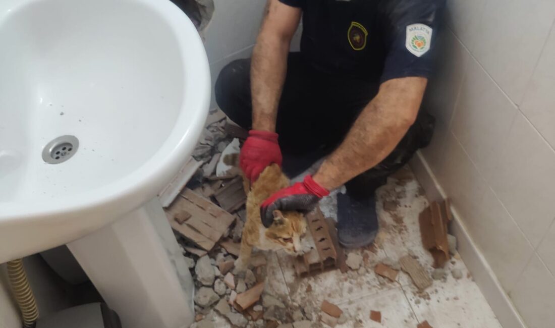 Malatya’da iki bina arasındaki dar boşluğa sıkışan kedi, itfaiye ekiplerinin