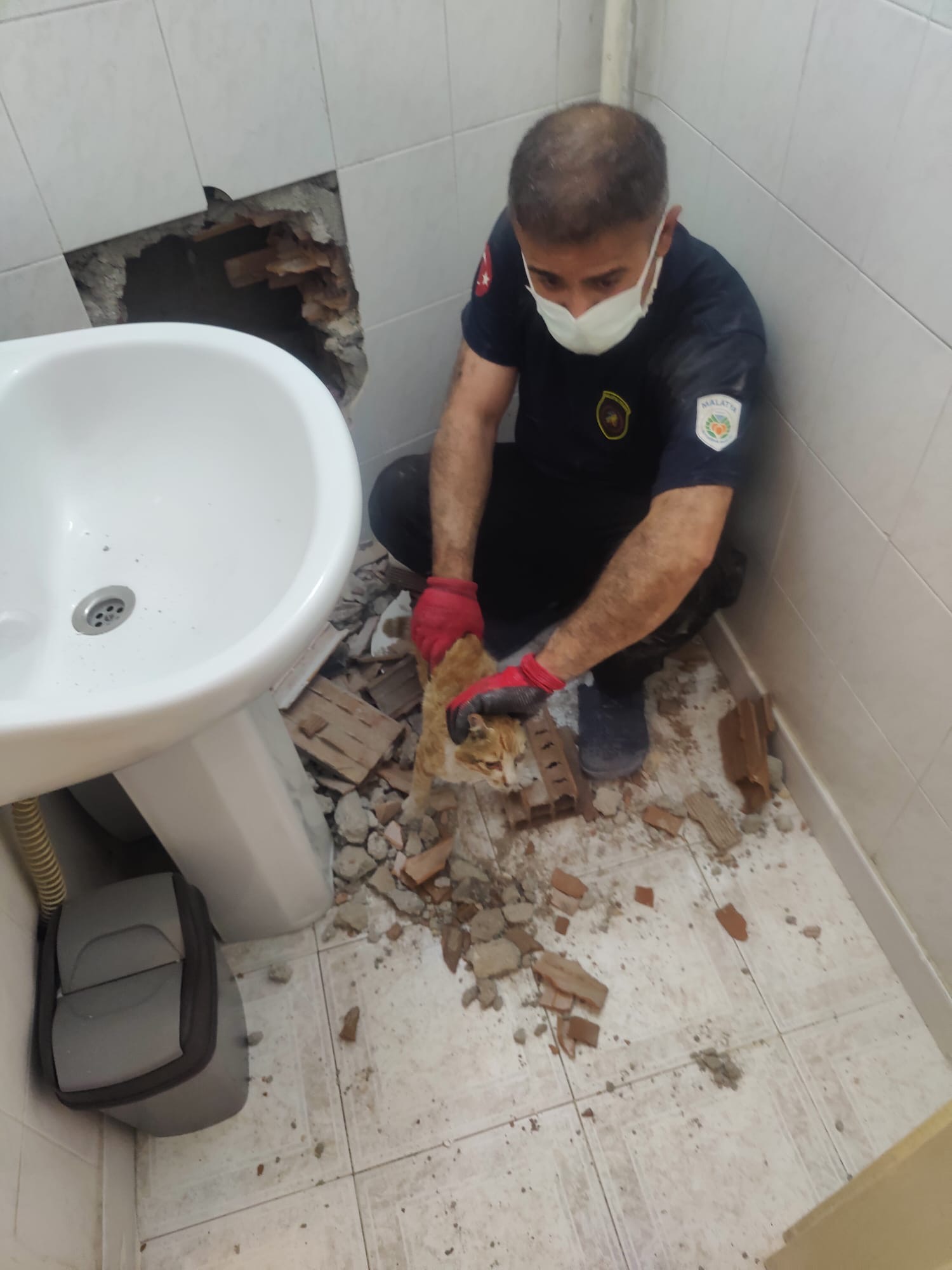 Malatya’da iki bina arasındaki dar boşluğa sıkışan kedi, itfaiye ekiplerinin