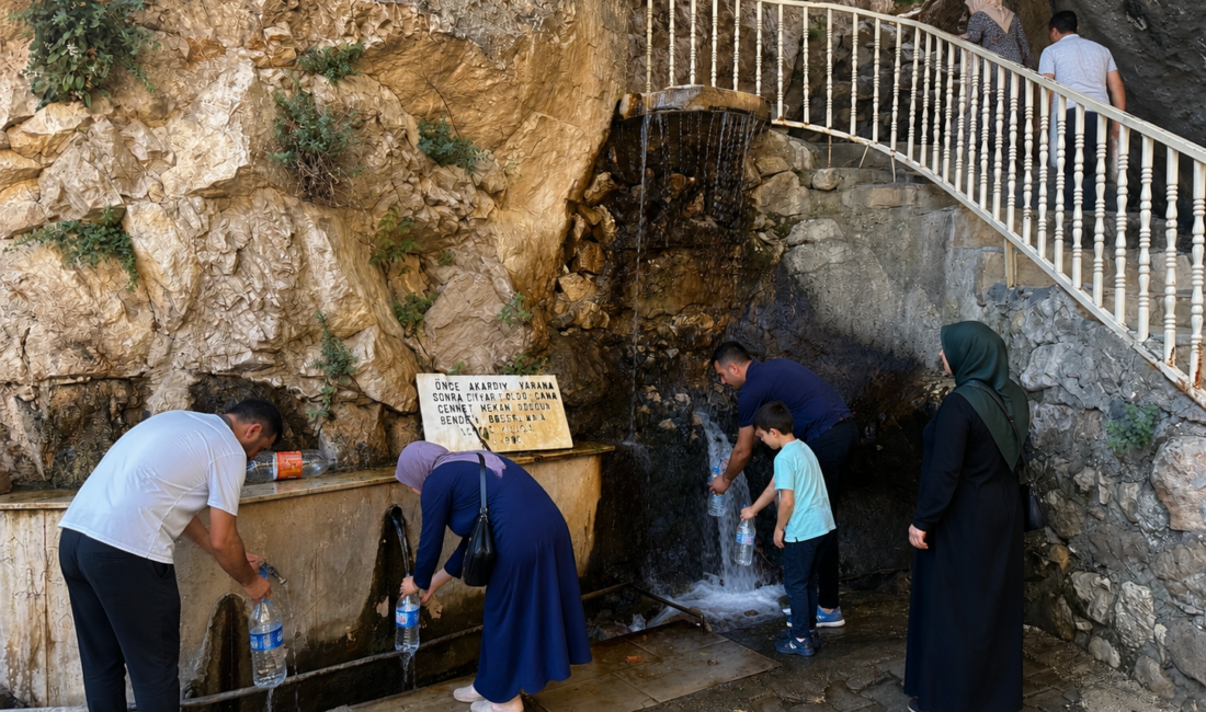 Darende’de bulunan Ilıca Ziyaret Piknik Alanı, doğal güzellikleri, serin pınar