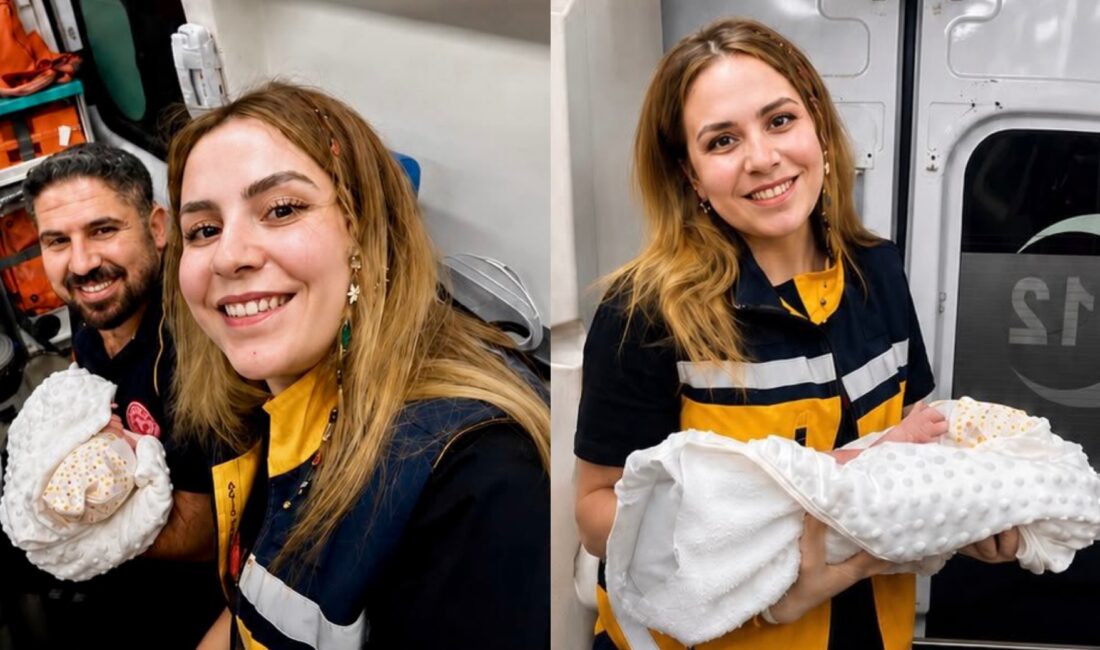 Pütürge’den hastaneye götürülen hamile kadın, Kubbe Dağı mevkiinde ambulansta doğum