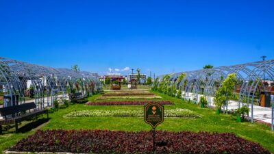 Malatya Büyükşehir Belediyesi Park ve Bahçeler Dairesi Başkanlığı kent estetiğini