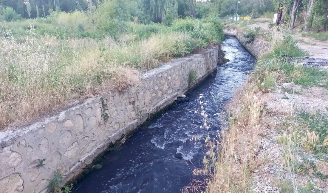 Malatya’da organize sanayi kaynaklı olduğu öne sürülen atık suların Tohma