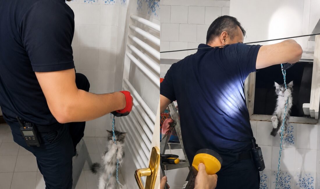 Malatya'nın Battalgazi ilçesinde apartman havalandırma boşluğuna düşen yavru kedi, itfaiye