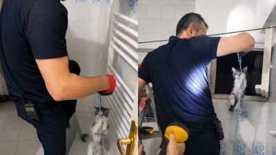 Malatya'nın Battalgazi ilçesinde apartman havalandırma boşluğuna düşen yavru kedi, itfaiye