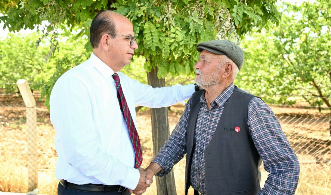 Görgü (Cafana) Mahallesi'nde sürdürülen kilit taşı döşeme, kaldırım yenileme, mezarlık