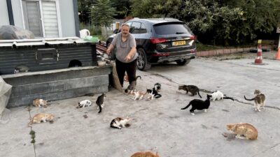 Dilek Mahallesinde yaşayan Mehmet Açıkkaşlı, yıllardır sokak kedilerini kendi imkânlarıyla