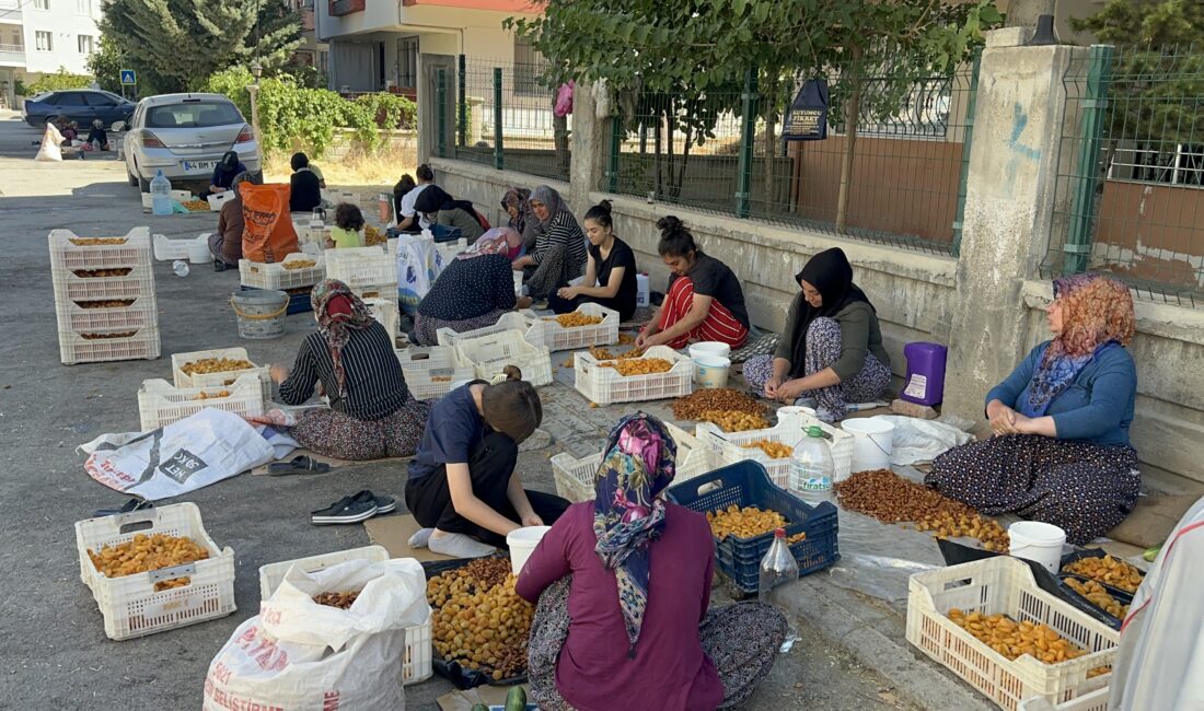 Dünya kayısı başkenti Malatya’da hasat sezonuyla birlikte mahalle aralarında yeniden