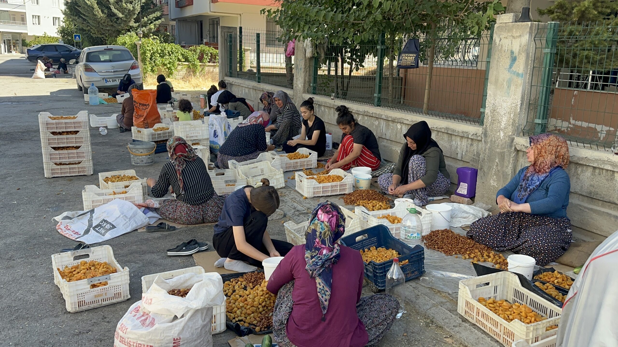 Dünya kayısı başkenti Malatya’da hasat sezonuyla birlikte mahalle aralarında yeniden