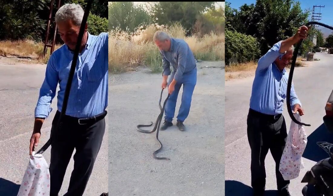 Malatya’da aynı gün içerisinde 5 yılan yakaladığı da bilinen Ali