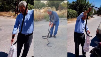 Malatya’da aynı gün içerisinde 5 yılan yakaladığı da bilinen Ali