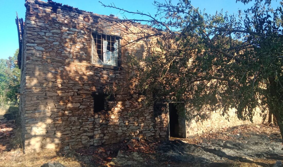 Pütürge ilçesinde çıkan yangında 2 ev ile yaklaşık 20 dönümlük