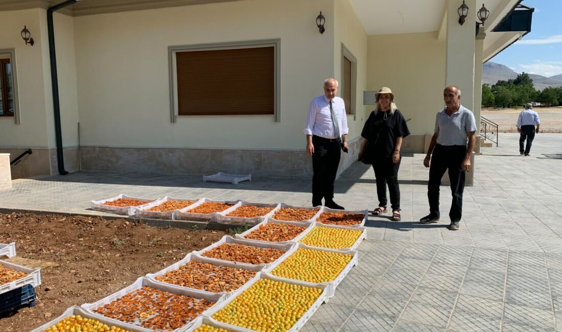 &nbsp;Malatya İl Tarım ve Orman Müdürü Osman Akar, Bitkisel Üretim
