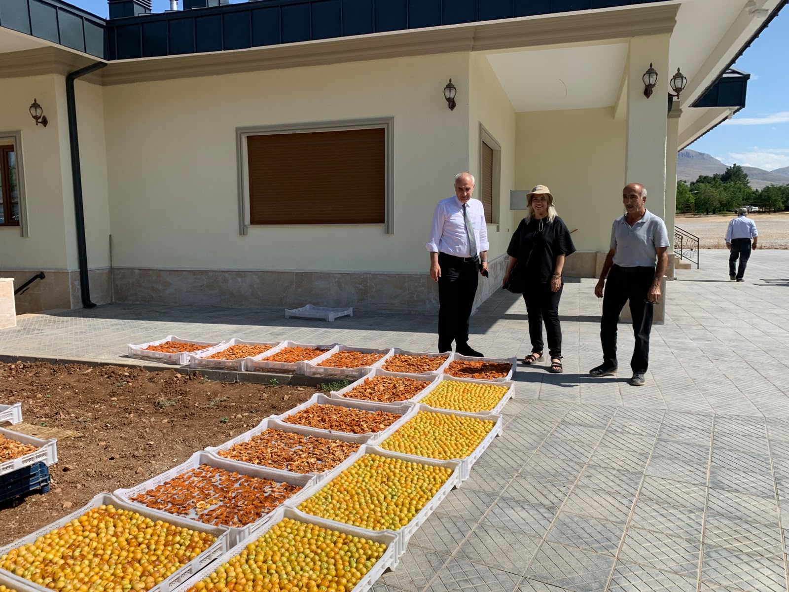 &nbsp;Malatya İl Tarım ve Orman Müdürü Osman Akar, Bitkisel Üretim